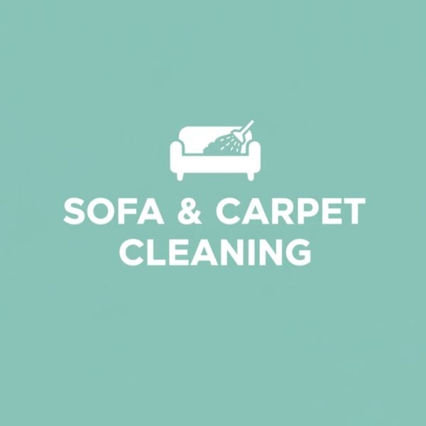 Skilled Sofa And Carpet Cleaning Solutions Built for Reliability